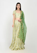 Lime Lux & Emerald Green Lehenga with Cutwork Dupatta