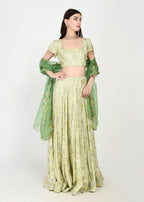 Lime Lux & Emerald Green Lehenga with Cutwork Dupatta