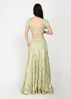 Lime Lux & Emerald Green Lehenga with Cutwork Dupatta